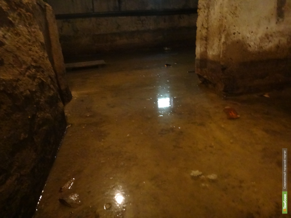 Грунтовые воды и затопления подвалов1765791038